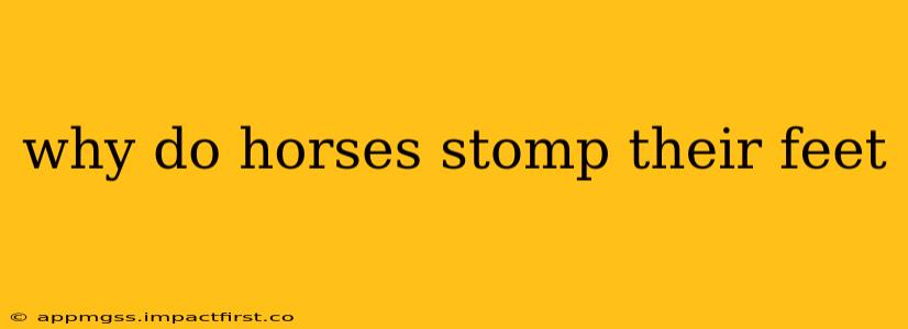 why do horses stomp their feet