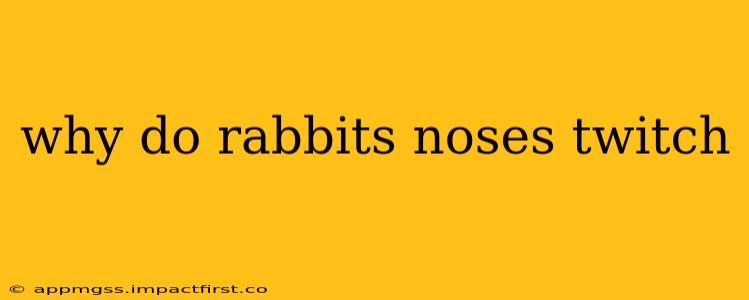 why do rabbits noses twitch
