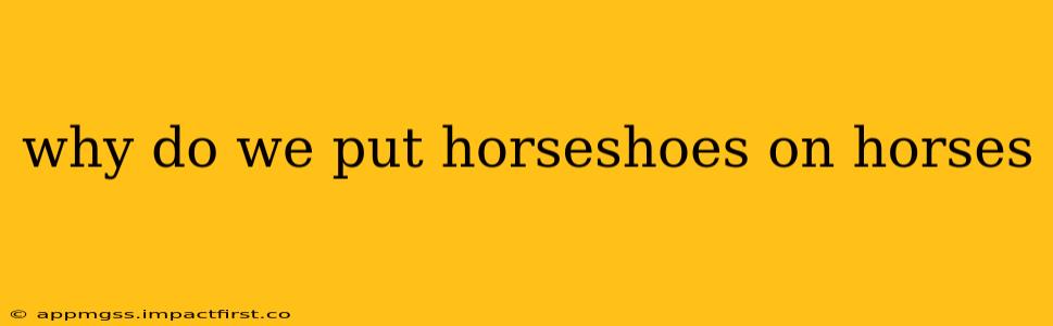 why do we put horseshoes on horses