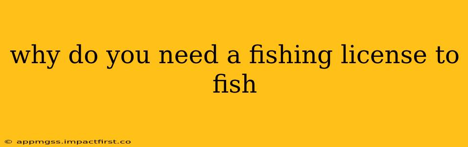 why do you need a fishing license to fish