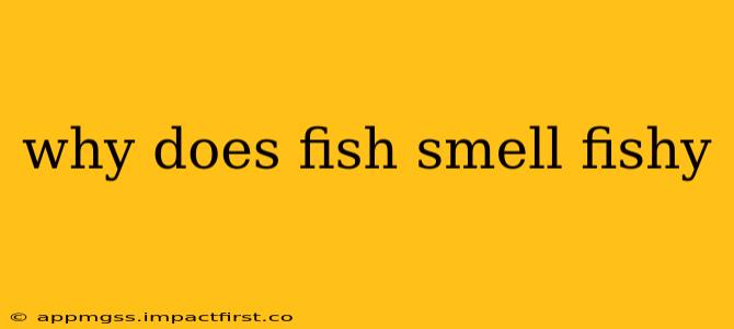 why does fish smell fishy