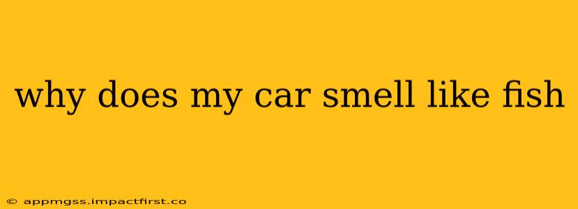 why does my car smell like fish