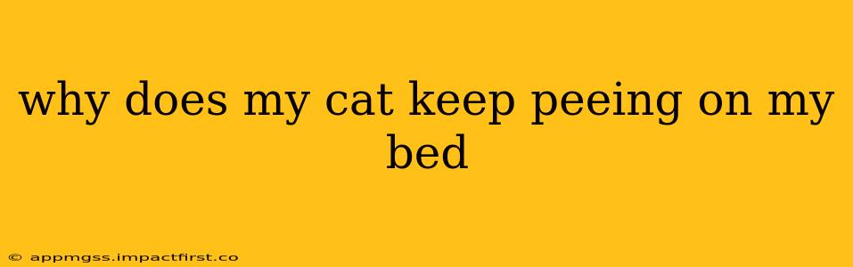 why does my cat keep peeing on my bed