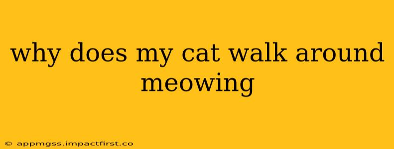 why does my cat walk around meowing