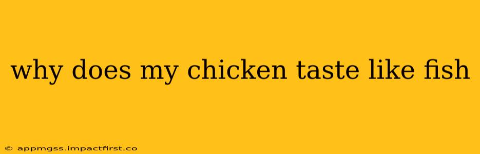 why does my chicken taste like fish
