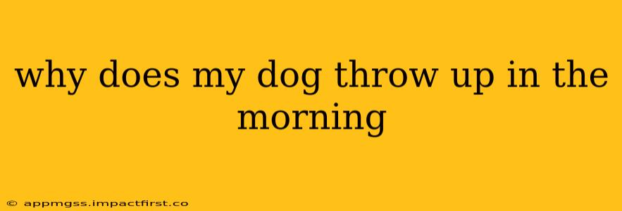 why does my dog throw up in the morning