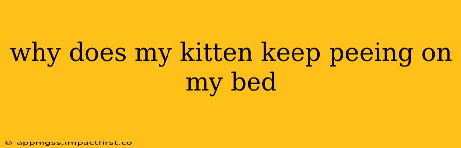 why does my kitten keep peeing on my bed