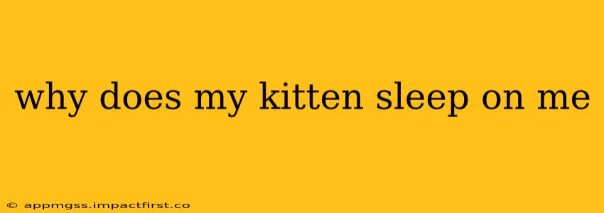 why does my kitten sleep on me