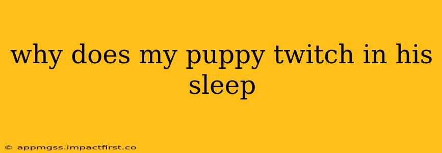 why does my puppy twitch in his sleep