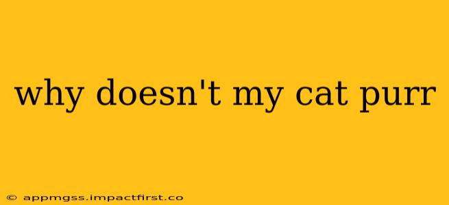 why doesn't my cat purr