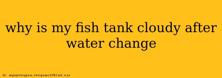 why is my fish tank cloudy after water change