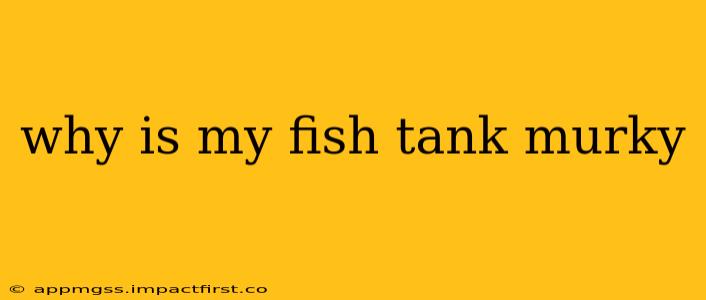 why is my fish tank murky