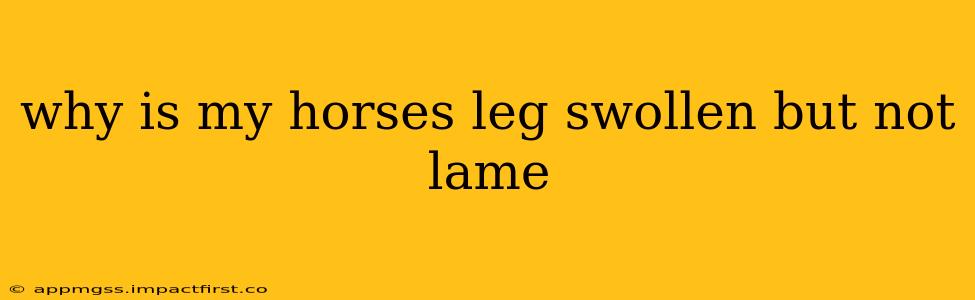 why is my horses leg swollen but not lame
