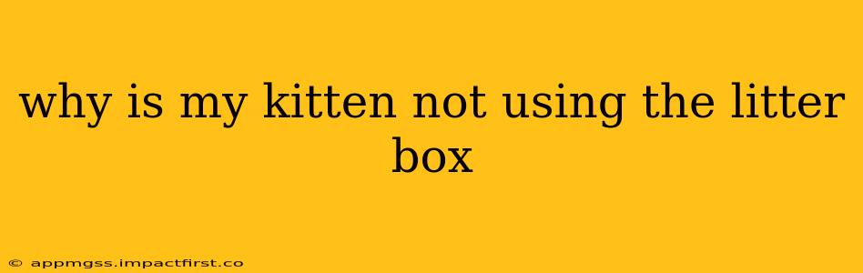 why is my kitten not using the litter box