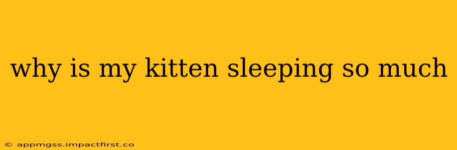 why is my kitten sleeping so much