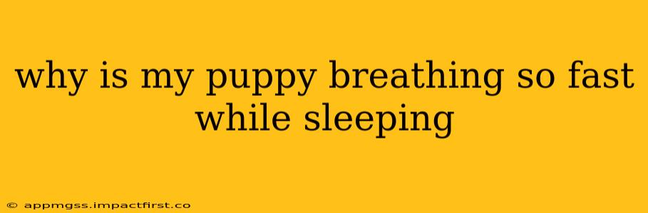 why is my puppy breathing so fast while sleeping