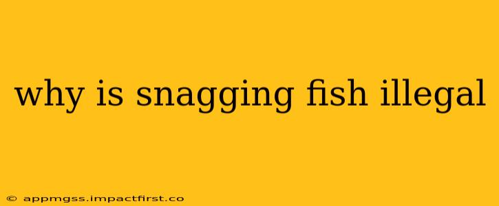 why is snagging fish illegal
