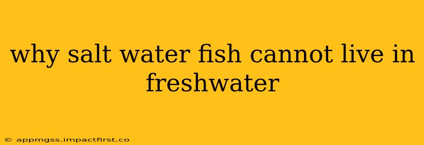 why salt water fish cannot live in freshwater