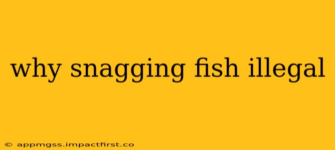 why snagging fish illegal