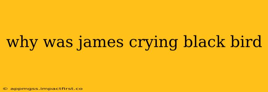 why was james crying black bird