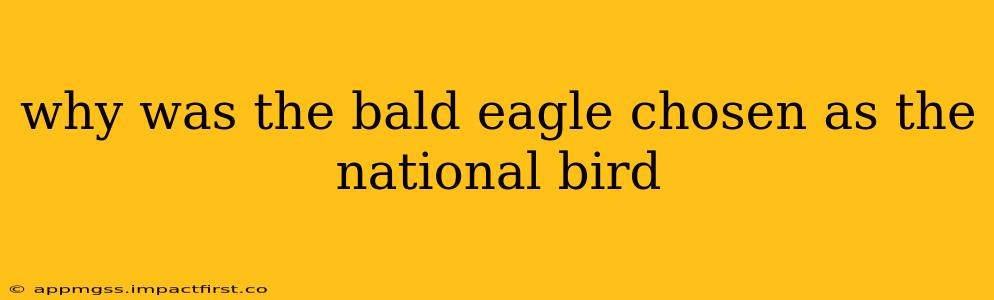 why was the bald eagle chosen as the national bird
