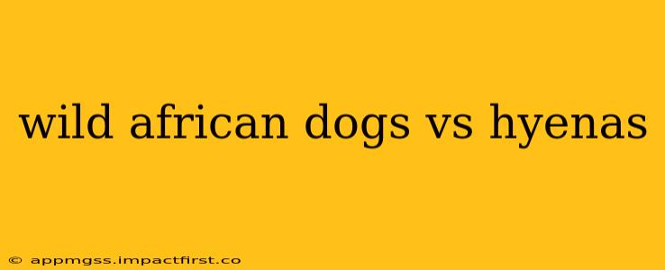 wild african dogs vs hyenas