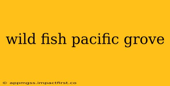 wild fish pacific grove