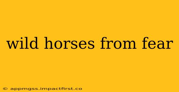 wild horses from fear