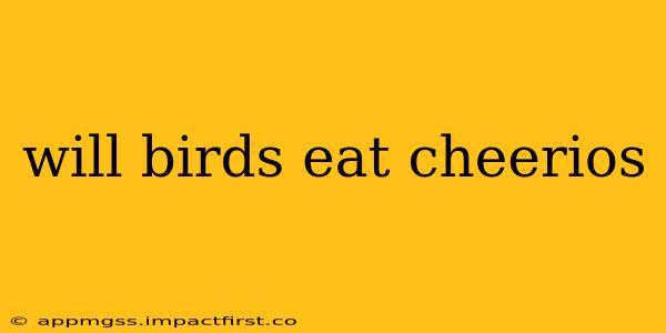 will birds eat cheerios