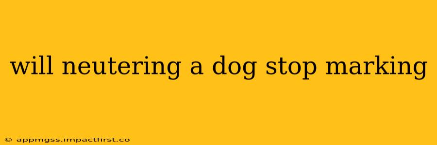 will neutering a dog stop marking