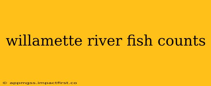 willamette river fish counts