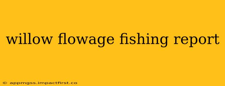 willow flowage fishing report