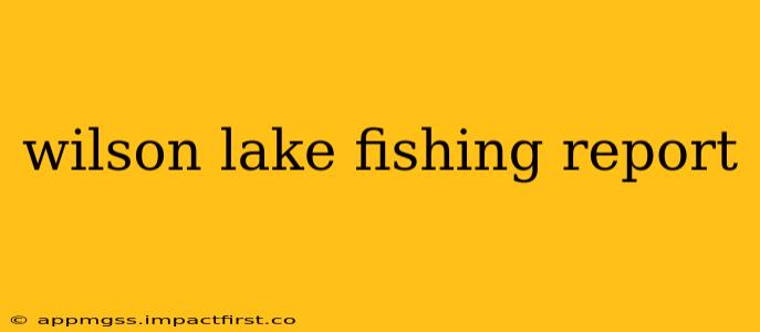 wilson lake fishing report