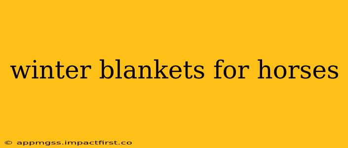 winter blankets for horses