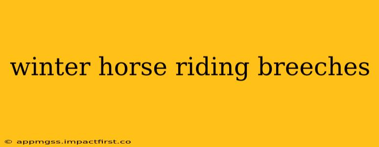winter horse riding breeches