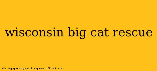 wisconsin big cat rescue
