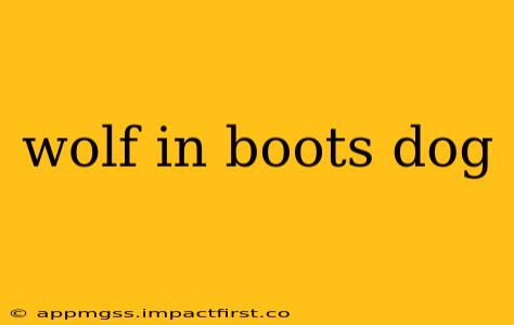 wolf in boots dog