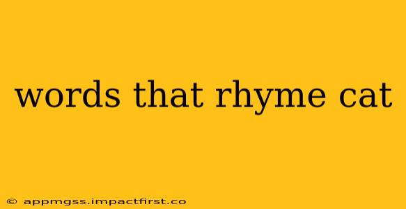 words that rhyme cat