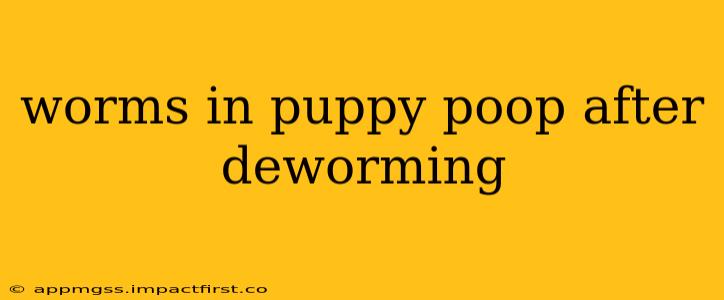 worms in puppy poop after deworming