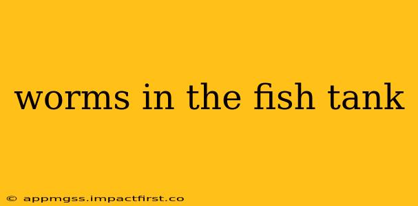 worms in the fish tank