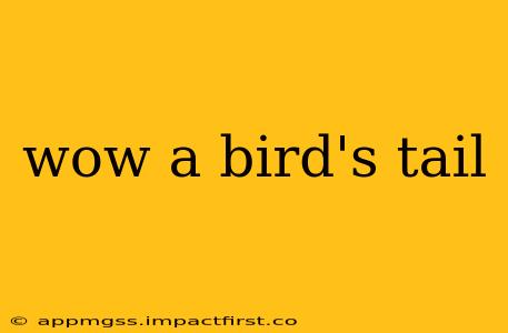 wow a bird's tail