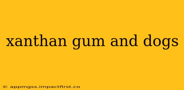 xanthan gum and dogs