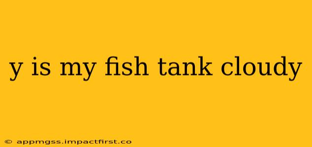 y is my fish tank cloudy