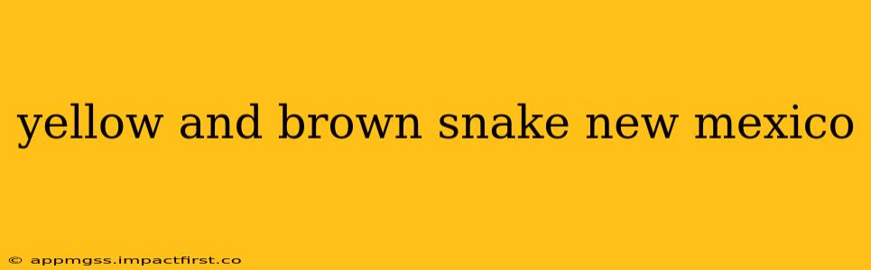 yellow and brown snake new mexico
