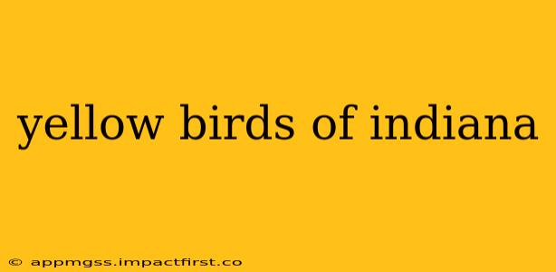 yellow birds of indiana