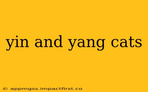 yin and yang cats