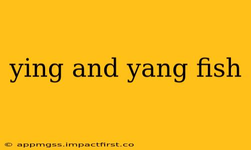 ying and yang fish
