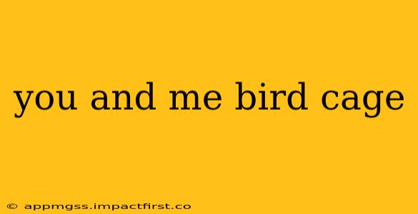 you and me bird cage