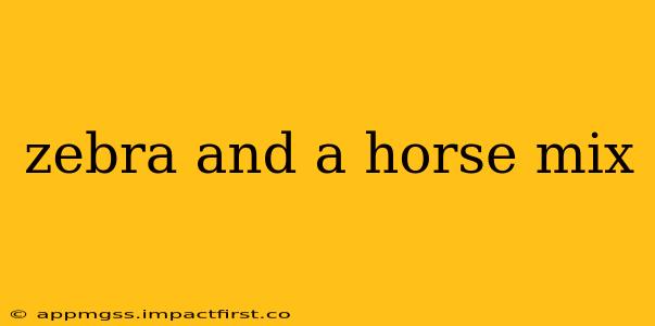 zebra and a horse mix