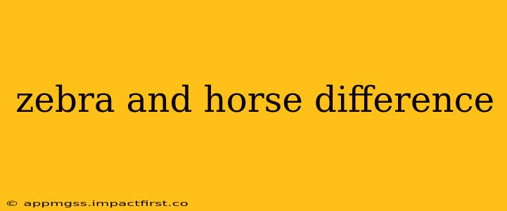 zebra and horse difference